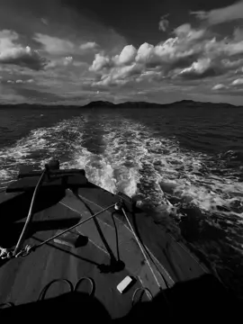 想来就来，想走就走。 不怨恶人，只责怪自己不好 