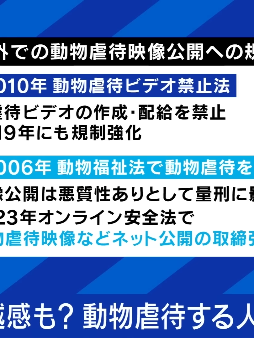 【猫虐待グループ】組織的犯行？動物虐待する人の心理とは？背景に歪んだ優越感も？│アベプラ_025
