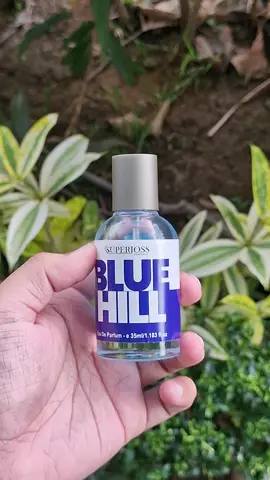 wanginya lembut tapi meninggalkan kesan kuat dan elegan🥰 #parfum #parfumtiktok #bluehill #parfumunisex #fyp 