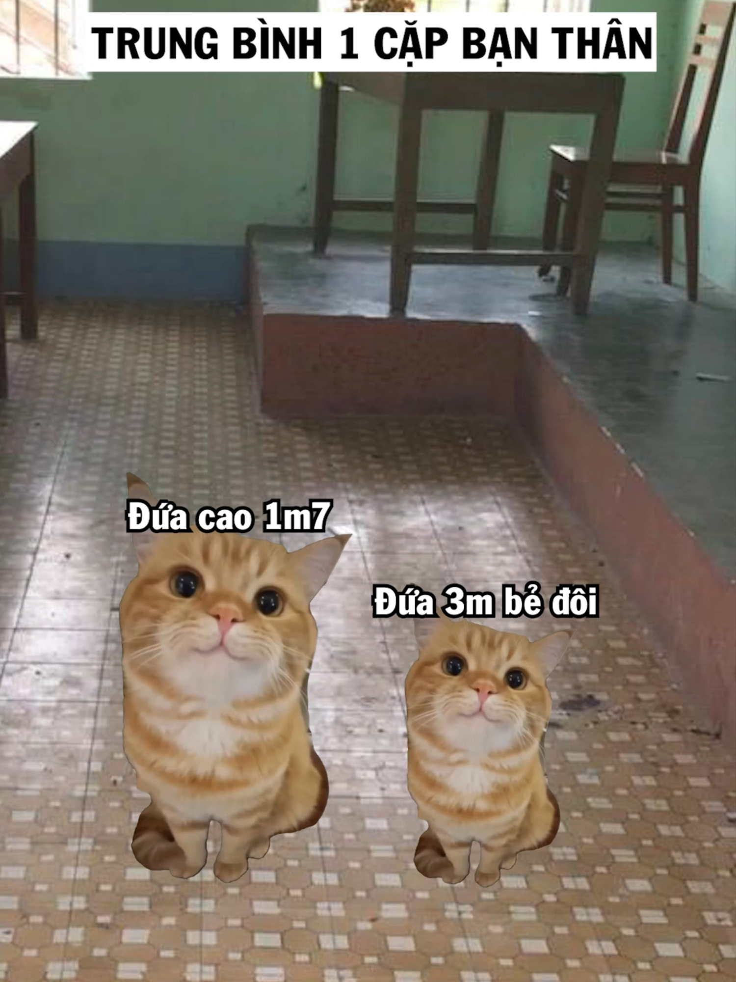 Cứ thế thôi hẹ hẹ hẹ #meme #nupgamgiuong #cat #fyp #j4f #funny #foryou