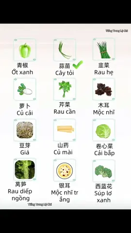 #họctiengtrung #tiếngtrungchongườimớibắtđầu #tiếngtrung #tiếngtrungtreem #tiếngtrunghsk 