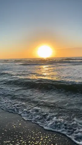 Catch the Sunrise 🏖️🌅🌊  #foryoupage #sunrise #beachy #autumntok #relaxingsounds 