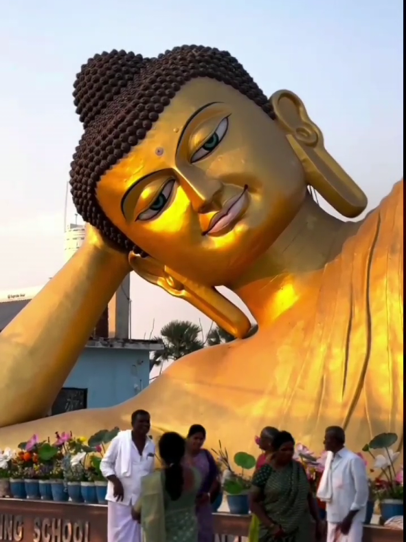 #බුදුසරණයි කියලා යන්න කවදාවත් වරදින්නේ නෑ #🌸🌸🙏🥹 #tendencia #tiktokindia #