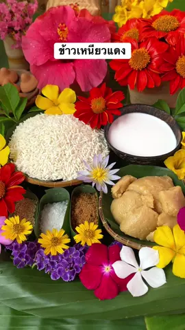 ข้าวเหนียวแดง 🤎🥥 ข้าวเหนียวแดงหวานมัน เคี้ยวกรุบๆเพลินๆ อร่อยมากค่ะ😋😄      #ครัวดินเผา #tiktokuni #ข้าวเหนียวแดง #ห้องครัวtiktok #longervideos 