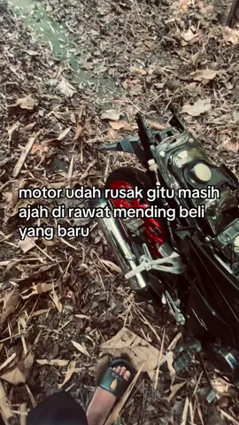 #malesbersaing😜 #bukansonicadu💥 #cwodino🦖 #sonicpurutul⚡ #sonictasik⚡ 