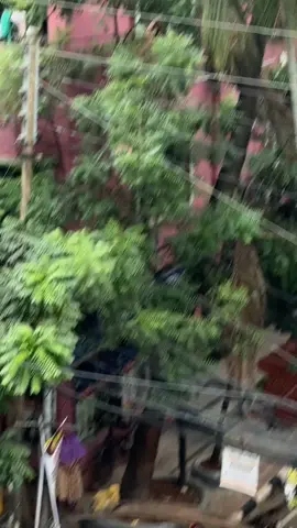 কারো কাছে বিড়ালটা সামান্য একটি প্রাণী, আবার কারো কাছে নিজের জীবনের চেয়ে মূল্যবান 🥺❤️‍🩹  পৃথিবীর সবচাইতে সুন্দর ও শক্তিশালী শব্দ ভালোবাসা..!  #viralvideo #foryoupage #fyyyyyyyyyyyyyyyy #fypシ゚ #foryou 