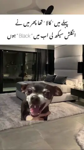 Ab main black Hun 🥲 #meme #funnymemes #relate #foryoupage❤️❤️ #funnytiktok 