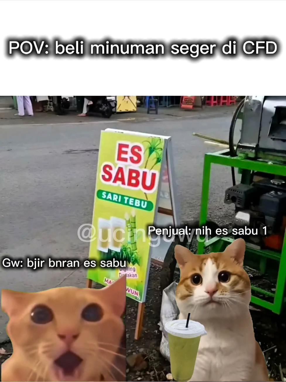 Nyobain es sabu viral 😹#meme #memekucing #memetiktok #memeindonesia #memelucu 
