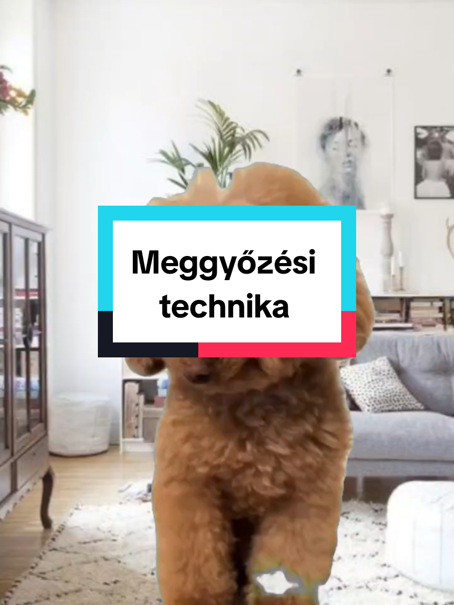 😁#vicces #fypage #Meme #MemeCut #CapCut 