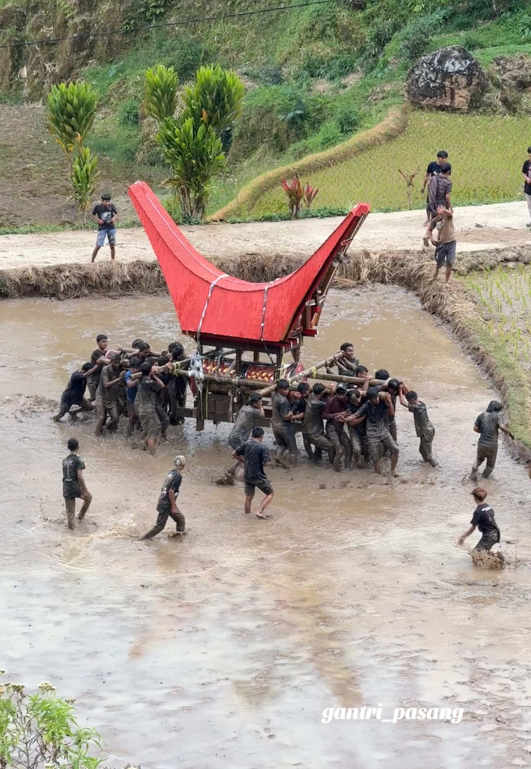 Pemakaman Termahal dan Terunik di Dunia 🤩😮 #toraja #fyp #viral #torajautara #pemakamantermahal #rambusolo 