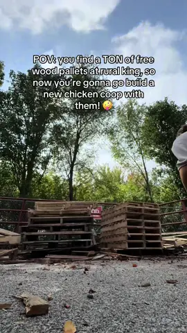 I’ve never been more excited for this project!!! 🥰 stay tuned to see how it turns out!! #palletproject #palletwood #chickencoopbuilds #diyprojectsideas 