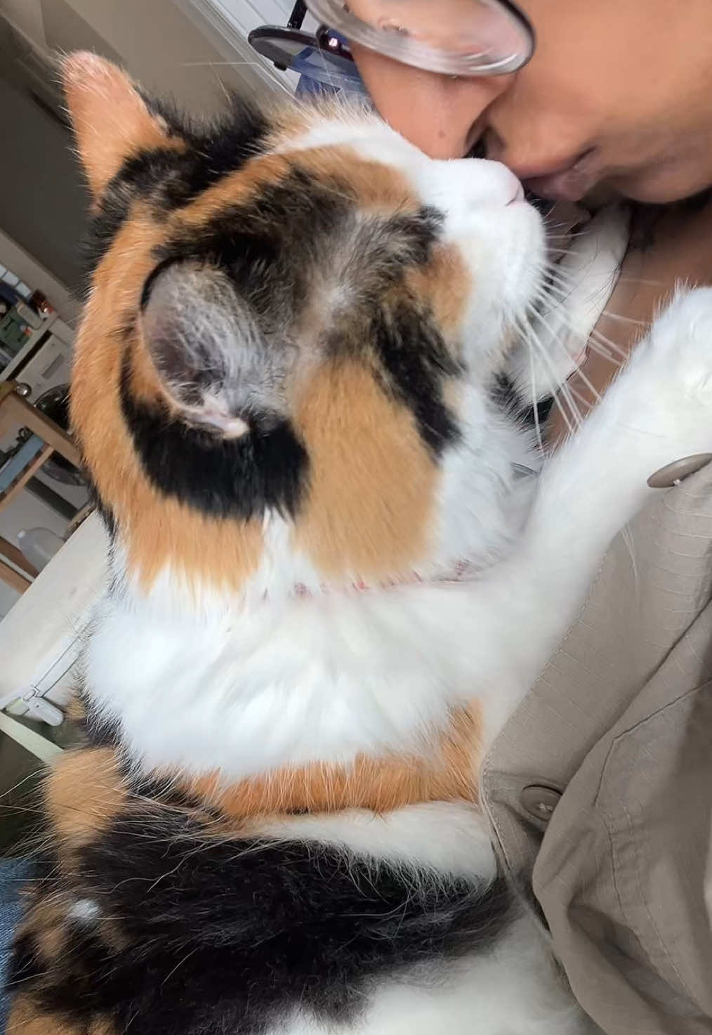 Love our early morning cuddles #catsoftiktok #koi #calico #fyp #bestfriend 