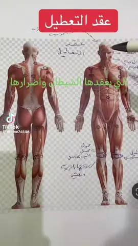 # مواضع عقد الشيطان في جسم الإنسان واضرارها 