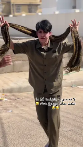 ‏الكل يجاوب 😂😂#ميسان #نجف_بغداد_حله_ناصريه_كربلاء_كركوك_تكريت #ناصريه_كوت_حله_سماوه_اربيل_دهوك_احبكم_ #ميسان_ذي_قار_البصرة_بغداد 