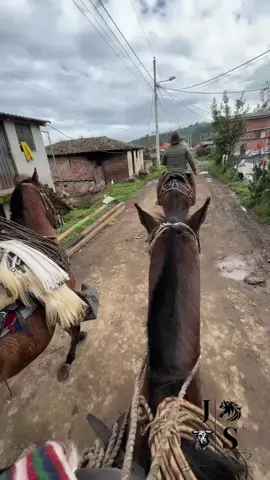 Cuando vengo nomas… #chagras_x_herencia🐂🍻🤠😍 #rodeo #tradiciones #caballos #musicaecuatoriana 