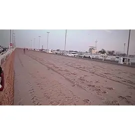 عجيب بن نايفة🔥🏆 #هجن#هجن_الشحانيه#هجن_الرئاسه#هجن_الحويطات#هجن_السعودية#هجن_العاصفة#الجزيره_هجن_الشحانيه#هجن_الاصایل#حلاوة_اللقاء#الجزيره_هجن_الشحانيه#متابعين#متابعين_#متابعين_انستقرام#_متابعين#متابعيني_الغالين 