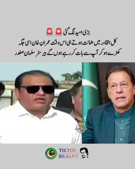 بڑی امید لگ گئی کل القادر میں ضمانت ہوتے ہی اس وقت عمران خان اسی جگہ کھڑے ہو کر آپ سے بات کر رہے ہوں گے ۔ بیرسٹر سلمان صفدر  #imrankhanpti #FreeImranKhan #bilalpti #FreeImranKhan #عمران_خان_ضروری_ہے 