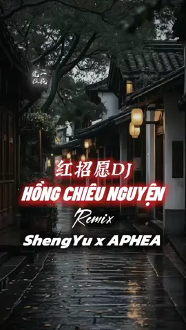 Bạn đang tìm mẫu này | Hồng Chiêu Nguyện Remix #nhachaymoingay #盛宇shengyu #capcut #capcutpioneer #pioneertemplate 