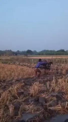 Iki opo seng di arani Soper patas lumba