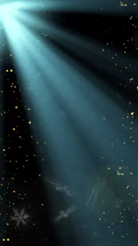 😇🙇‍♀️🙏🏻