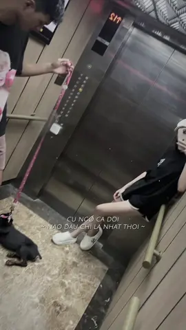 #CapCut #viral #xuhuong cứ ngỡ bến đợi nào đâu là trạm nghỉ ngơi