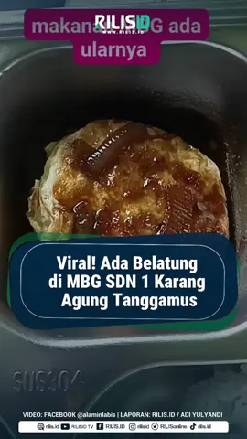 Viral! Ada Belatung di MBG SDN 1 Karang Agung Tanggamus Beredar video viral terkait ulat belatung di program makan bergizi gratis (MBG) yang akan dibagikan ke murid Sekolah Dasar Negeri (SDN) 1 Karang Agung, Kecamatan Semaka, Kabupaten Tanggamus, Rabu (24/9/2025). Belatung yang diketahui berada di telur ceplok dalam nampan tersebut, dikirim dari Satuan Pelayanan Pemenuhan Gizi (SPPG) Dapur Pekon Sudimoro, Kecamatan Semaka. Dalam rekaman itu, terdengar keluhan 