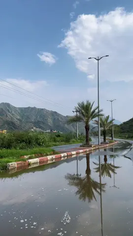 #قنا#الخضراء💚 #اكسبلووووورررر 