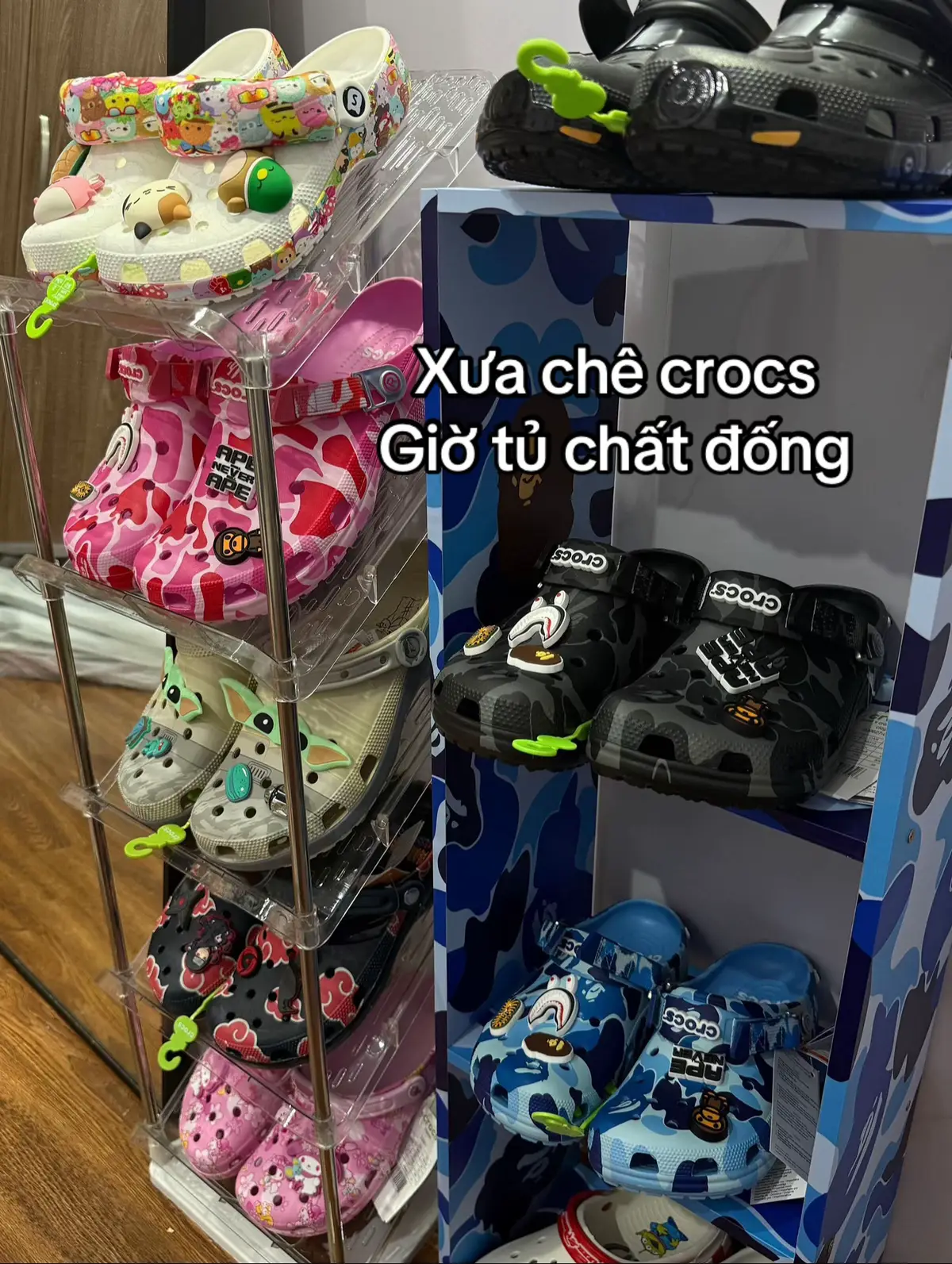 Khoe crocs vào đây diii#xuhuong #viral #fyp #upinorder #crocsgang 