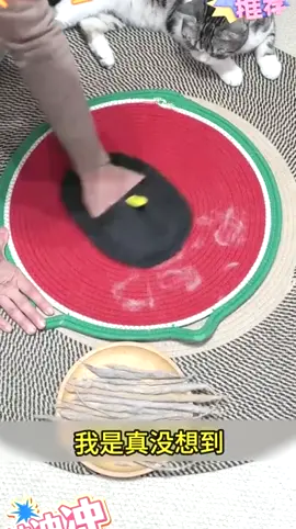 #好物分享 #宠物除毛手套 #双向静电吸附除毛神器 