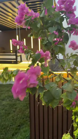 🌿 #ديكور #حدائق_منزلية #ارضيات #جداريات #عشب_جداري                          1