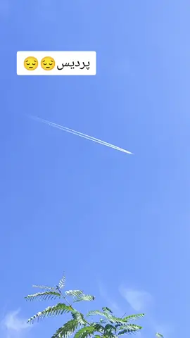 #viralvideo #trendingviralvideo #creatorsearchinsights #barcelonaspain🇪🇸😍 