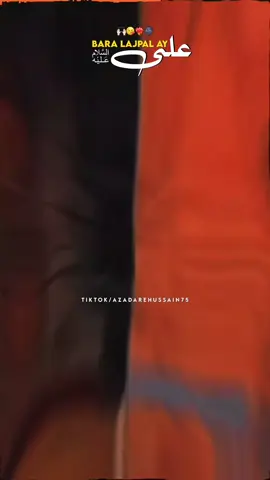 BARA LAJPAL AY ALI (A.S)🙌🏻❣️... #alimola #azadarehussain #creatorsearchinsights #burhantv #goviral 