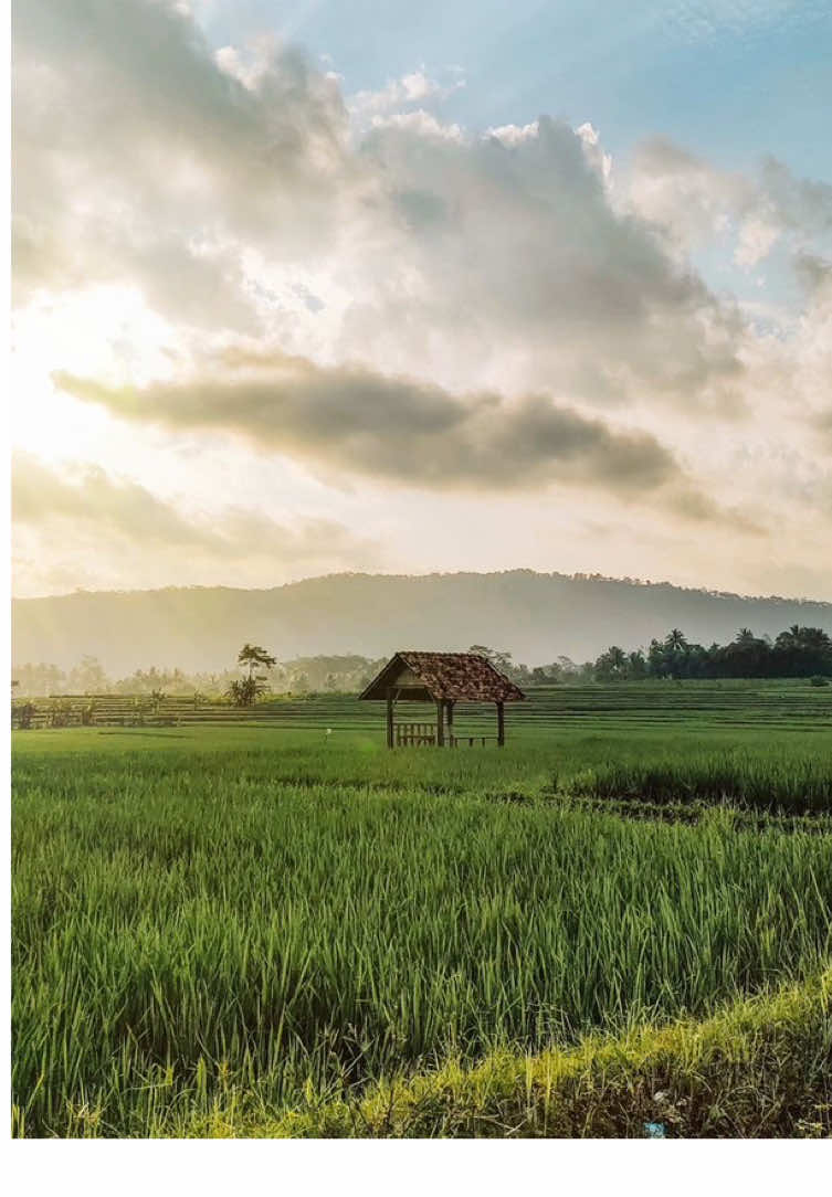 Salah satu tempat makan nuansa alam di Lombok timur  Lokasi: spicy bag, kumbung, lombok timur #kulinerlombok #travel #jalanjalan #Foodie 