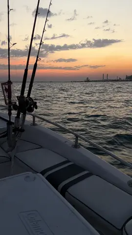 #جمال المجيم  #🐟 