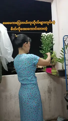 #on4t # မေမေကပြောတယ်ကုသိုလ်များများလုပ်တဲ့စိတ်ကိုအေးအောင်ထားတဲ့