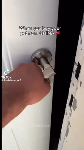 🥰🙆‍♂️🙆‍♂️🤣