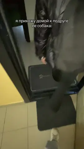 #популярное #глобальныерекоменадции #врекомендации #собака #подруги 