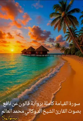 #القران_الكريم_#تلاوة_قران #سورة_القيامة_رواية_قالون #الدوكالي_محمد_العالم _اكسبلور  #explore _Salem _  _islam_quran_muslim _quranrecitation_islamic