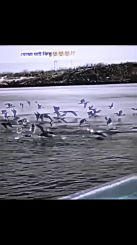 #ColdMoments #wintervibes #colddayswarmhearts #CnillvNignts #FrozenFeeil 