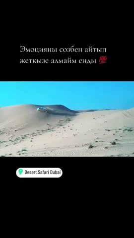 Адреналин и еще раз адреналин 🤩 #2025 #fyppppppppppppppppppppppp #дубай #dubai #казашка 