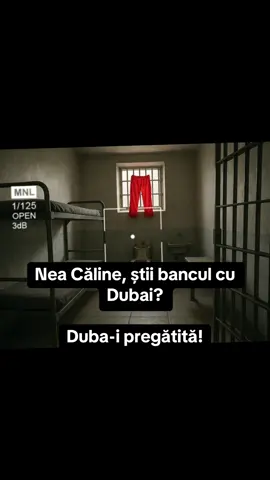 Bancul cu Dubai! #news #romania2025#horatiupotra #calingeorgescu #pentrutineromania 
