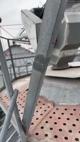 God bless @Chance for climbing up here because couldn’t be me😅   @matt #farmtok #fyp #farmlife #foryoupage #grainbin 
