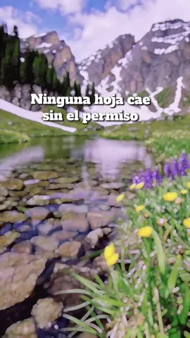 #reflexión #sabiduria #motivacion #amen #inspiracion 