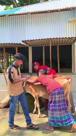 অটো পাশ গরুর ডাক্টার_বাকিটা ইতিহাস_😀😁#noyonofficial #foryou #funny #viwesproblem #unfrezzmyaccount 