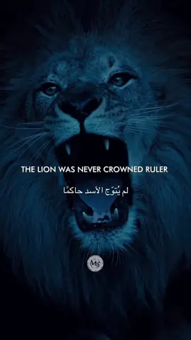 It’s all about your mentality.. #motivation #mindset #lifelessons #wisdom #fyp 