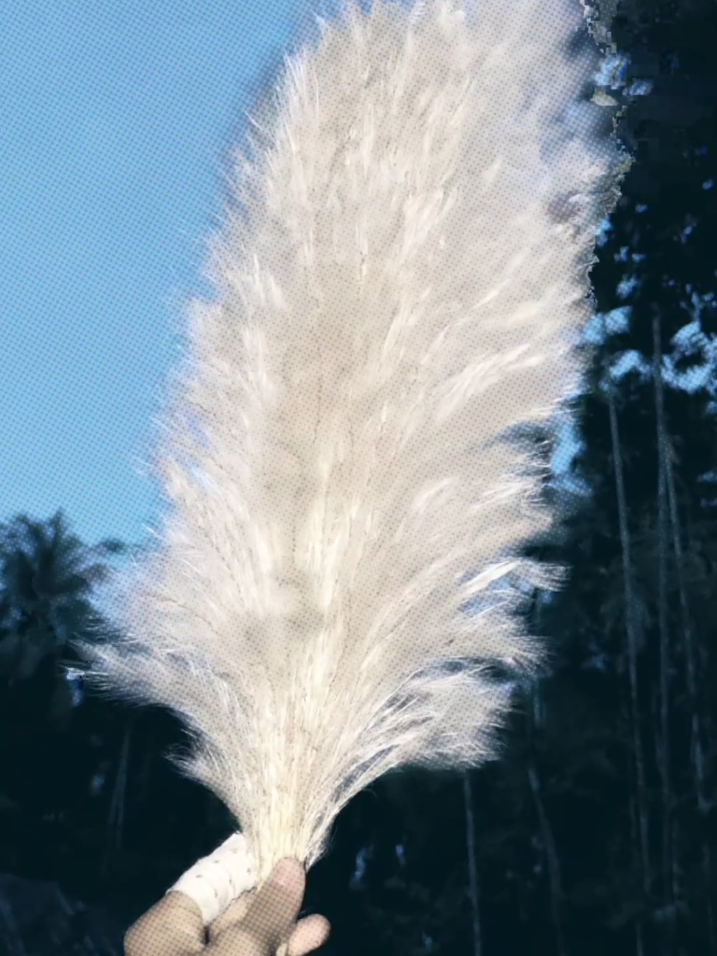 :)🤍🕊️ #isratjahanlizaa #viral #fypシ゚ #bangladesh🇧🇩 #CapCut 