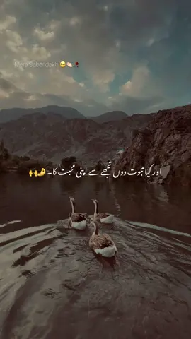 اپنا لہجہ دیکھ اور میرا صبر دیکھ ۔ 🙌💔🥺 #millionaudition #aesthetic #foryou #poetrystatus #foryoupage   