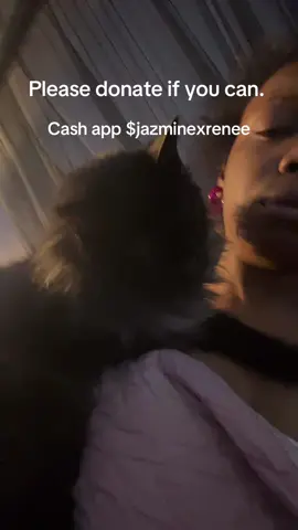 Cashapp: $jazminexrenee  No one was able to donate to me for my own health concerns, but if you can at least help with my cat… I’d appreciate it. ##cat##seizure##neurological