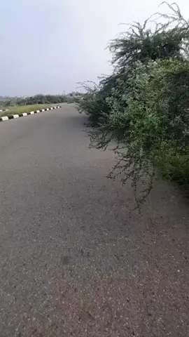 عصريه ممتعه 🥰