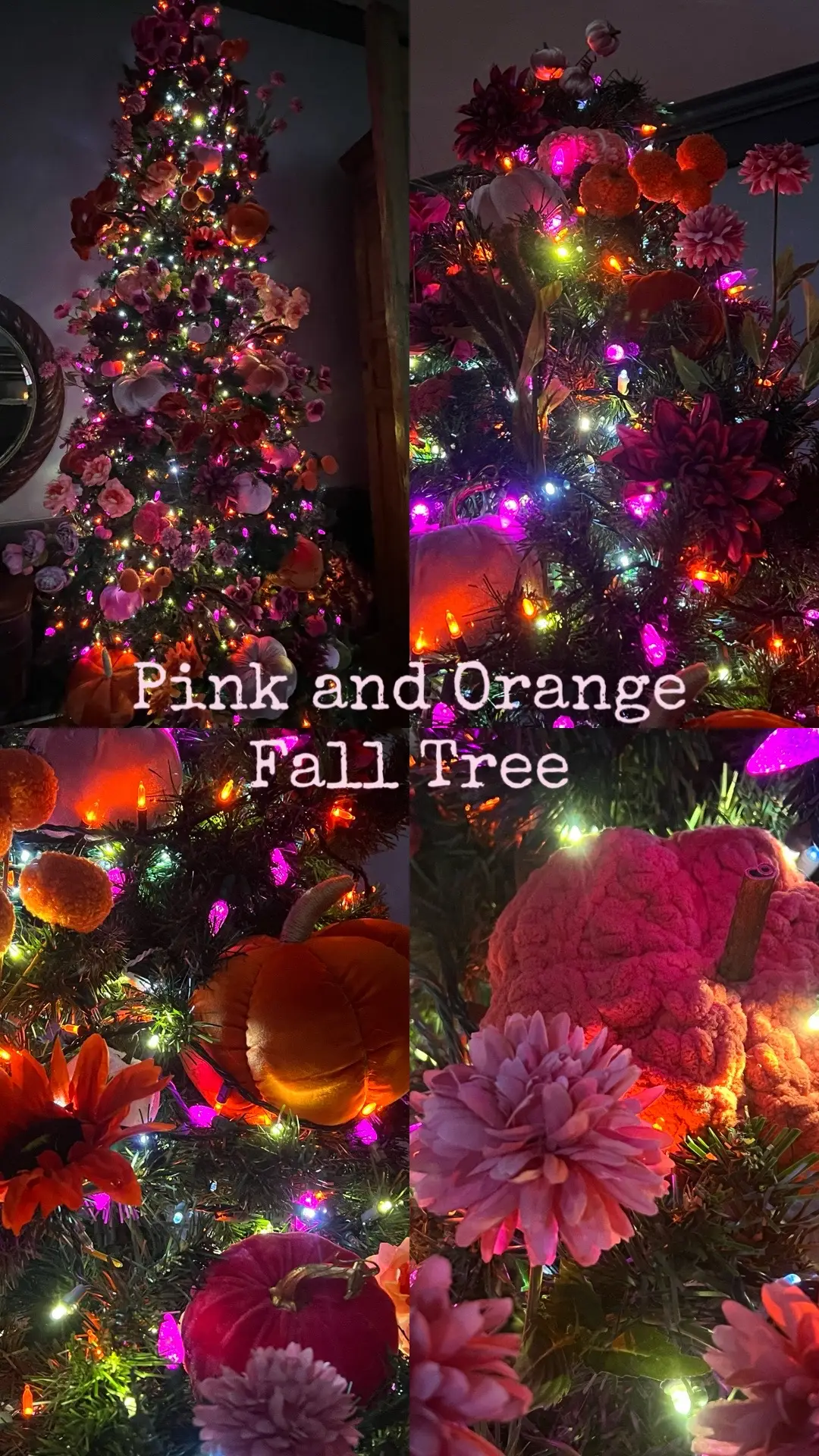 Fall tree is pink and orange this year. Still filling in some bare spots but overall I’m loving the vibe. 